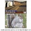 썸네일 아이콘