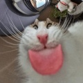 썸네일 아이콘