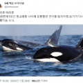 썸네일 아이콘