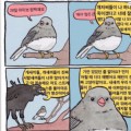 썸네일 아이콘